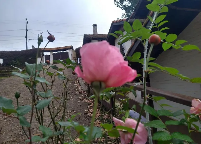 Hotéis em Monte Verde (Minas Gerais)