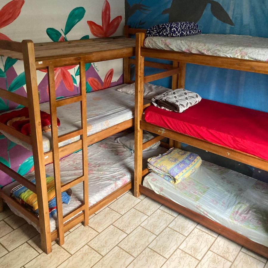 Bunk Bed Mixed Dormitory Room,1344382289:JPEG