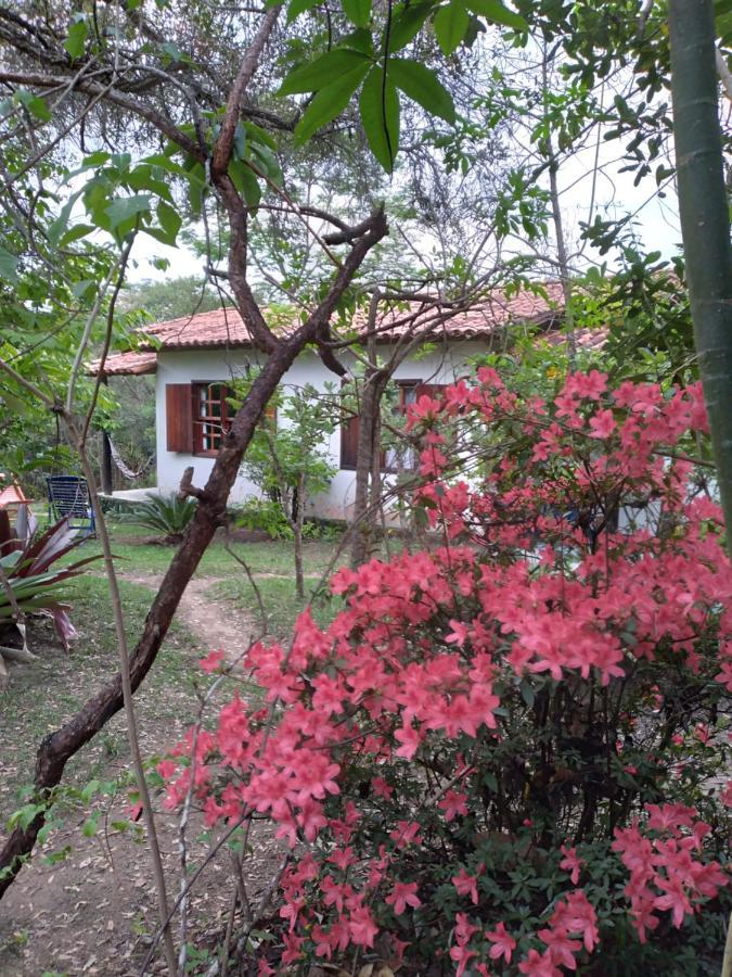 Triple Room Garden View