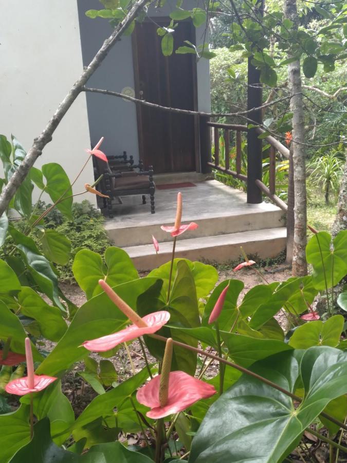 Triple Room Garden View