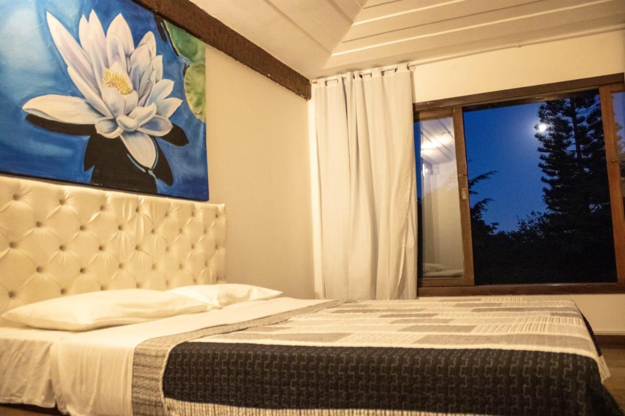 Superior with Garden View