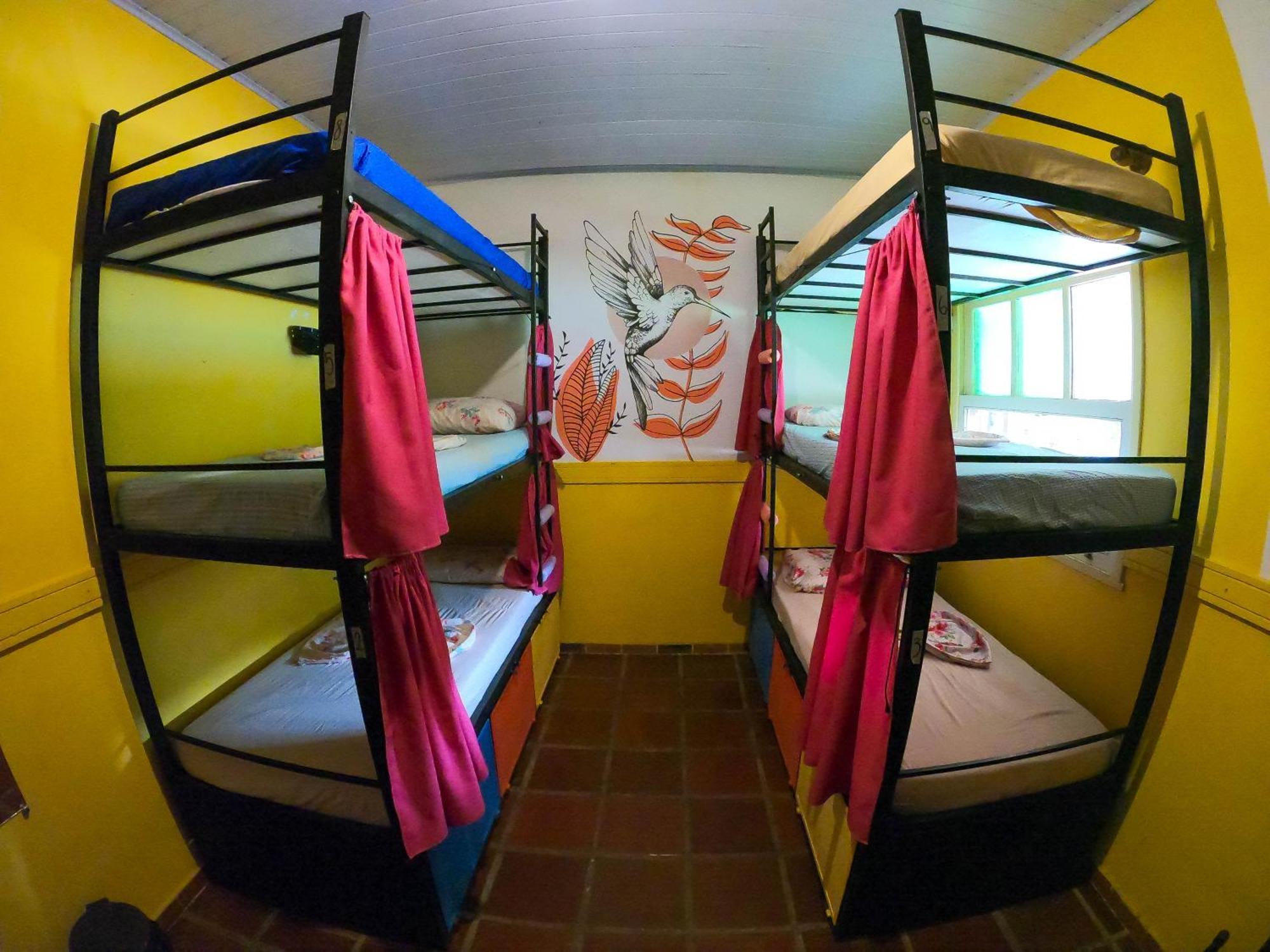 Bunk Bed in Female Dormitory Room