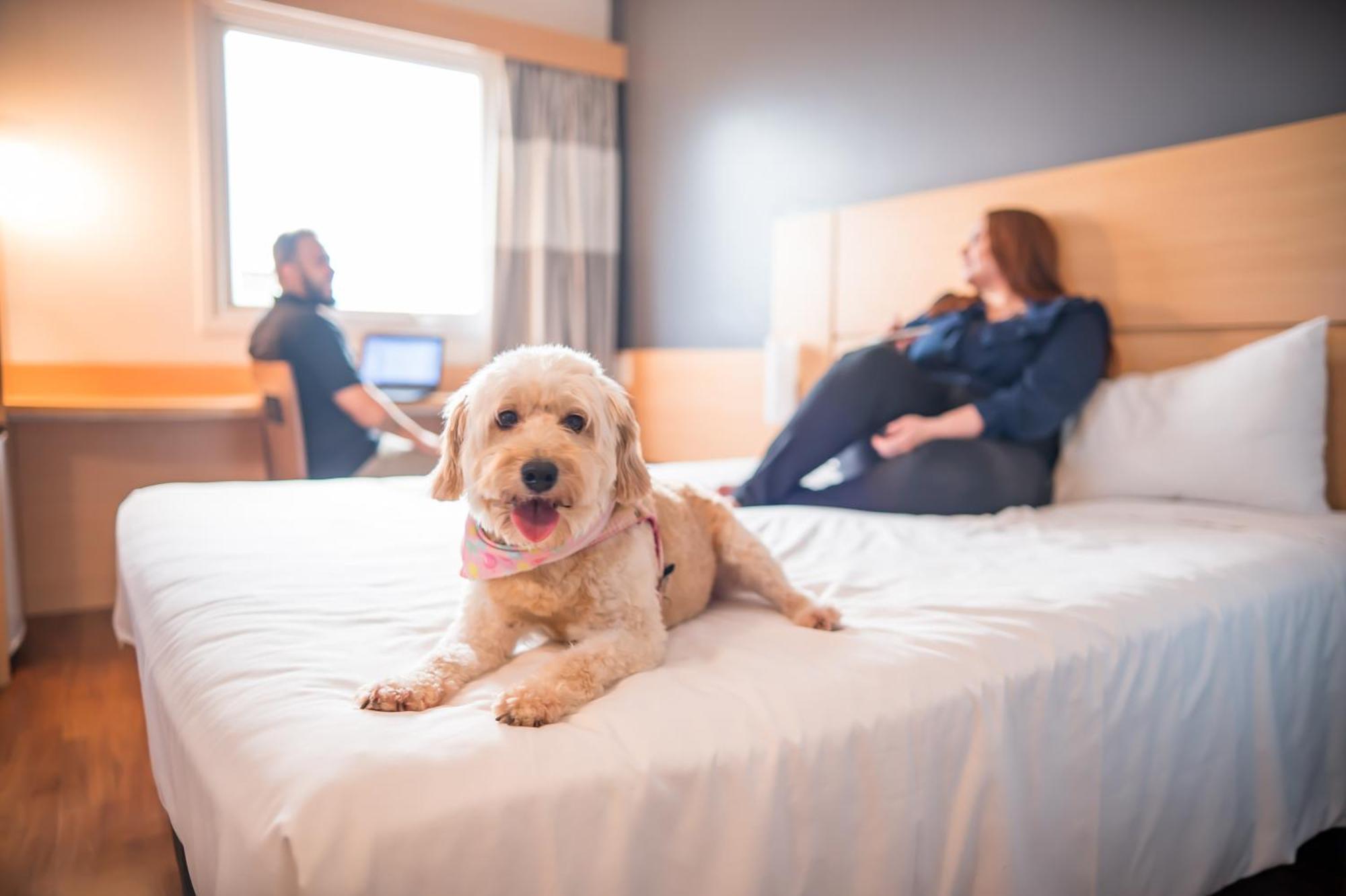 Standard Double Room,1641053914:JPEG