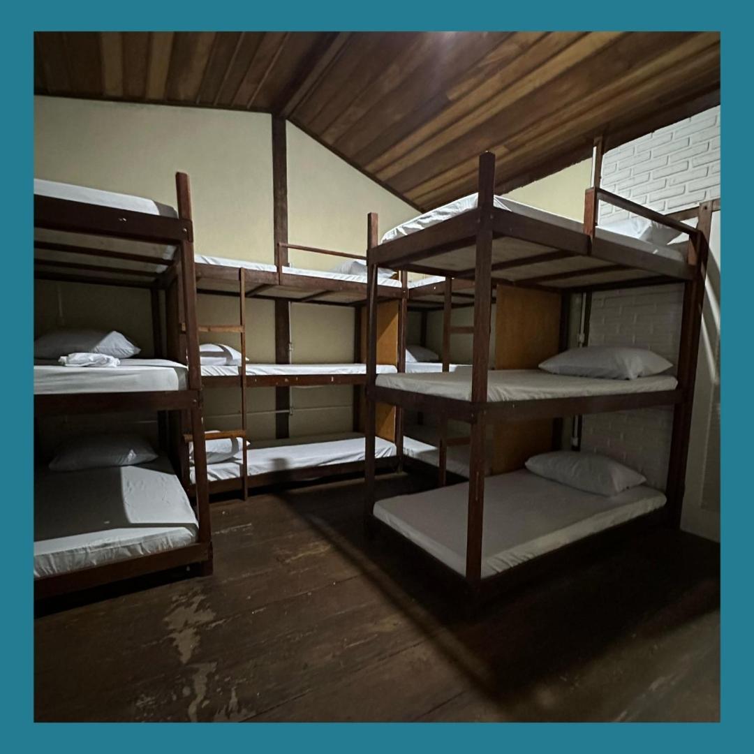 Bunk Bed Mixed Dormitory Room
