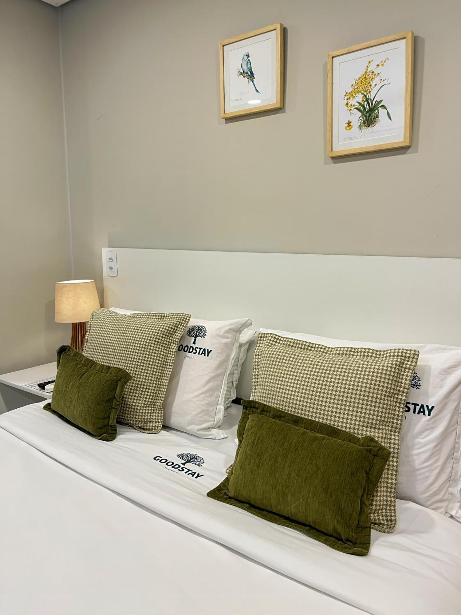 Standard Suite