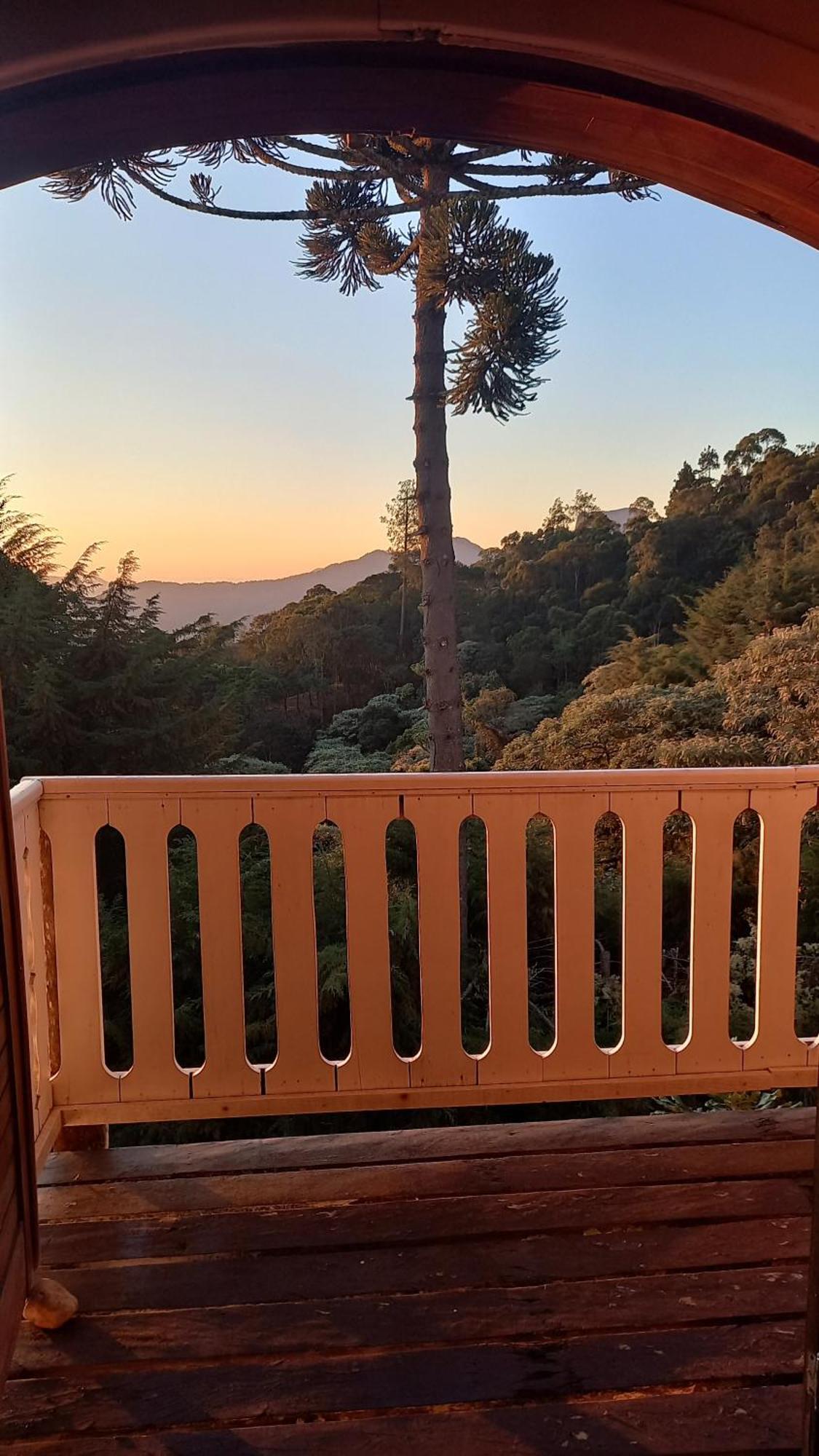 Suite Mountain View