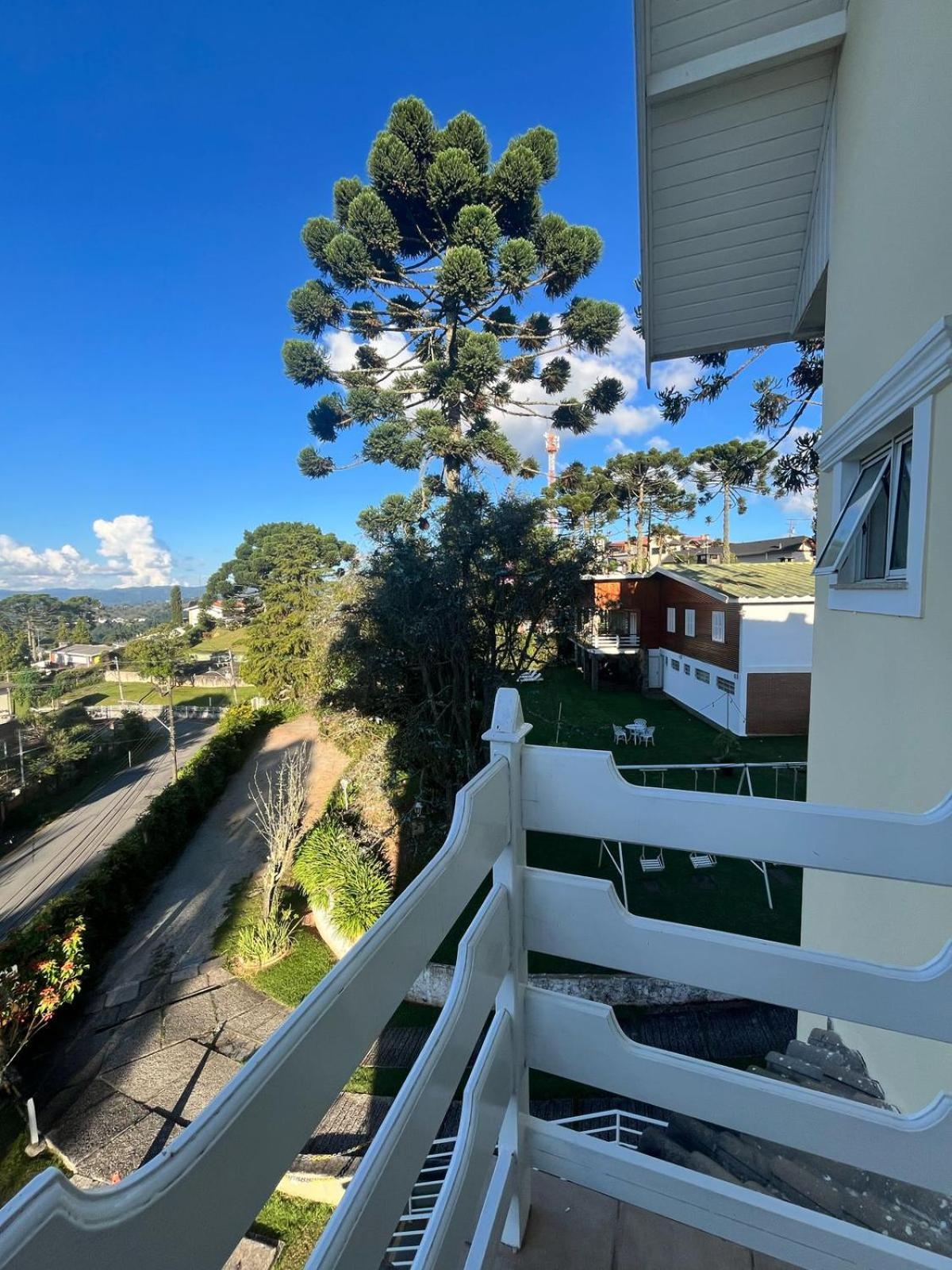 King Room Mountain View