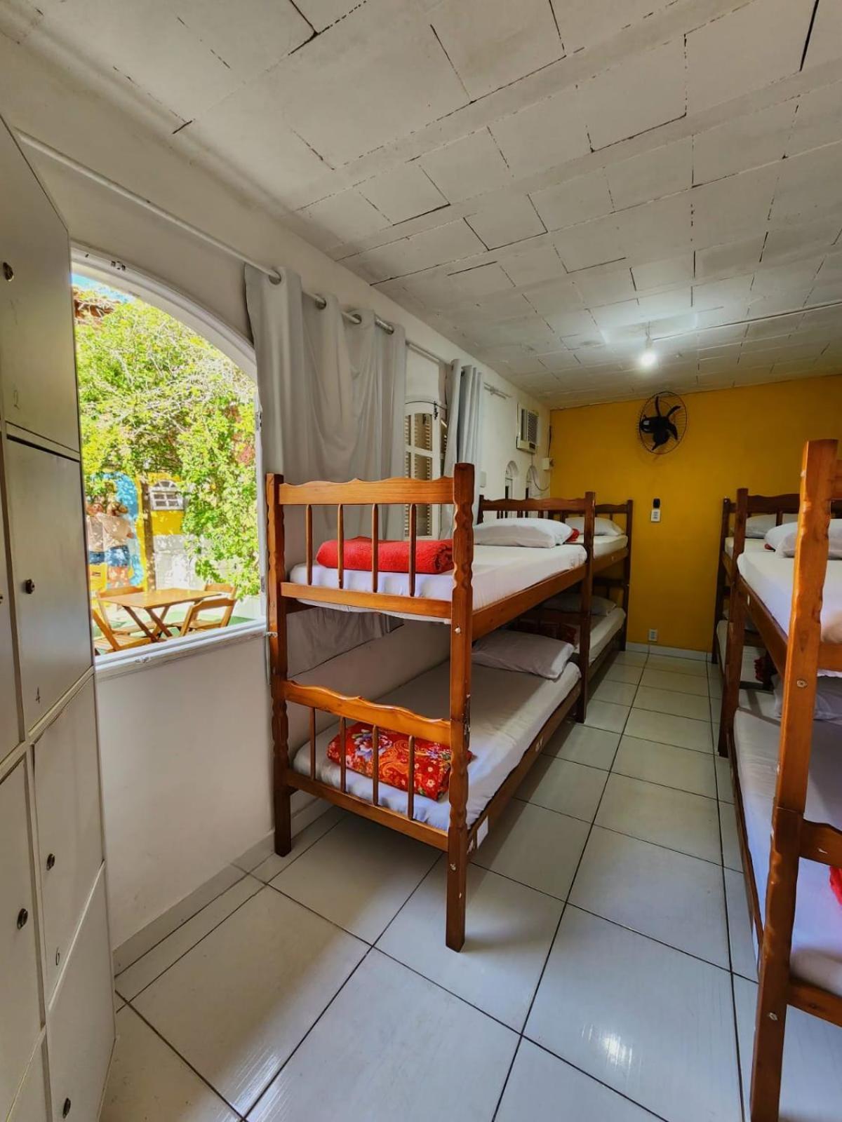 Bunk Bed Mixed Dormitory Room,1773380540:JPEG