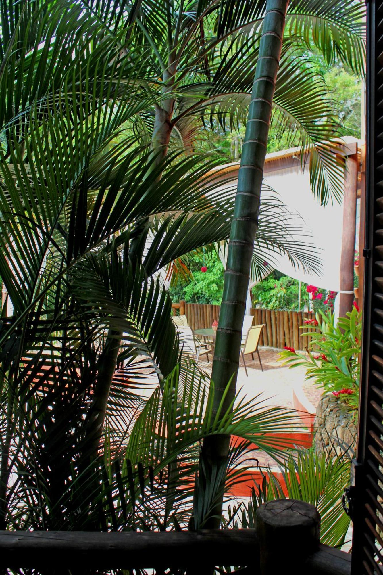 Double Room,339005398:JPEG