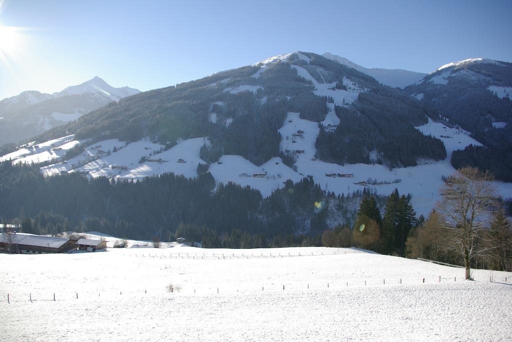 Standard Single Room with Shared Bathroom,1068120328:JPEG