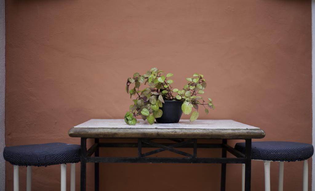 Suite,377060812:JPEG