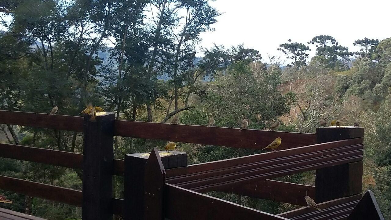 One-Bedroom Chalet,752555429:JPEG