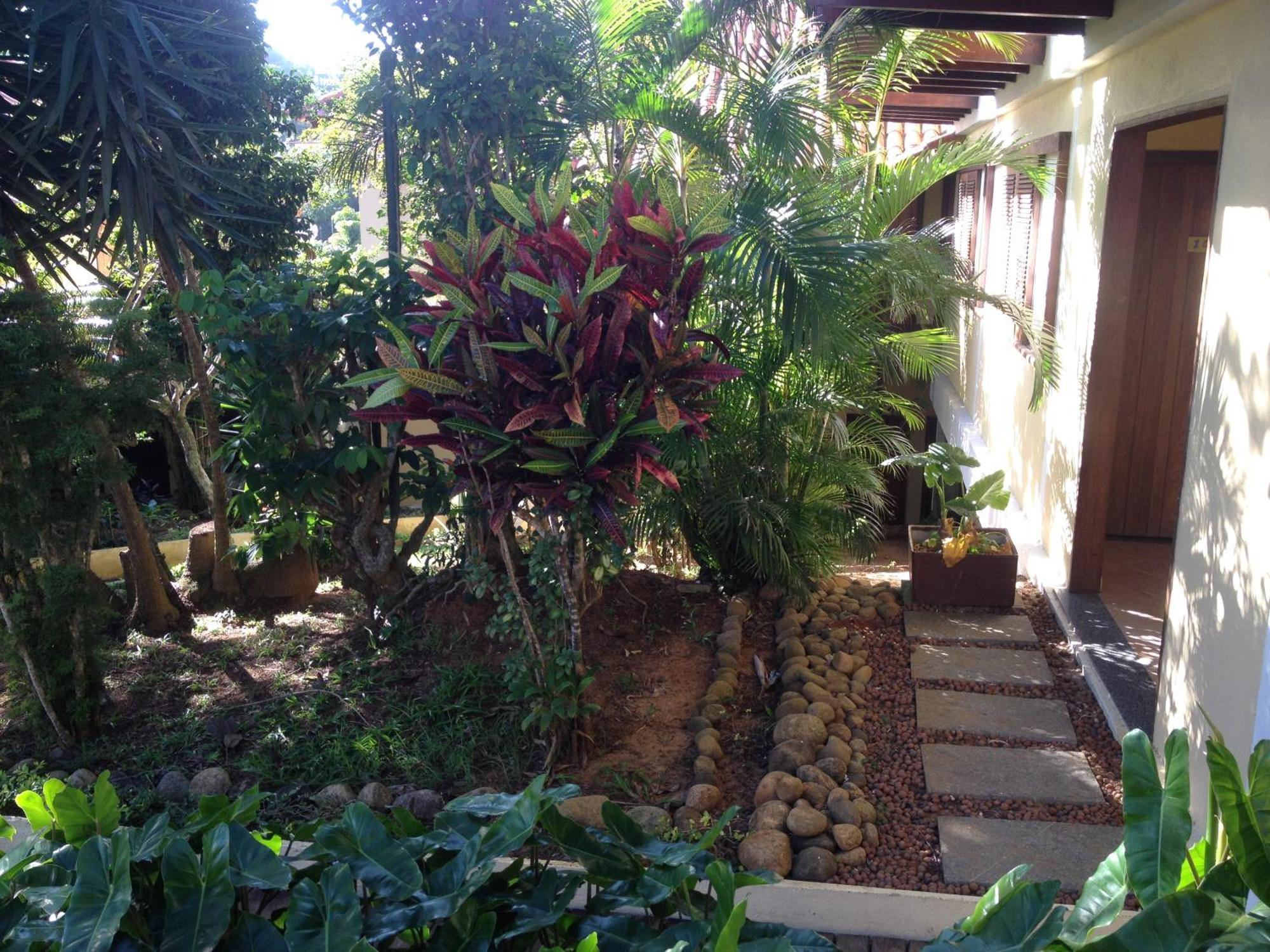 Suite Garden View,396726081:JPEG