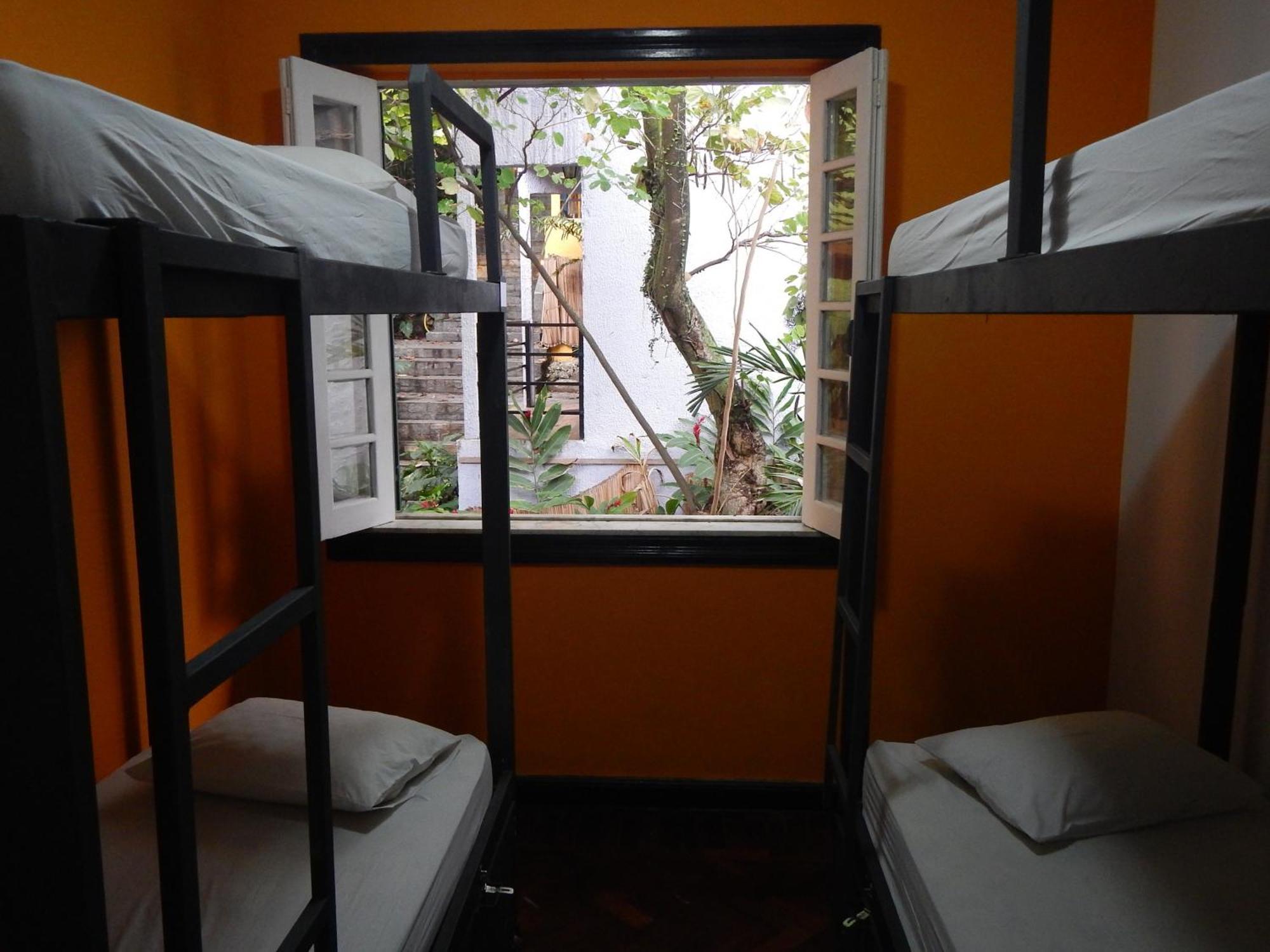 Bunk Bed 4-Bed Mixed Dormitory Room,1020771706:JPEG