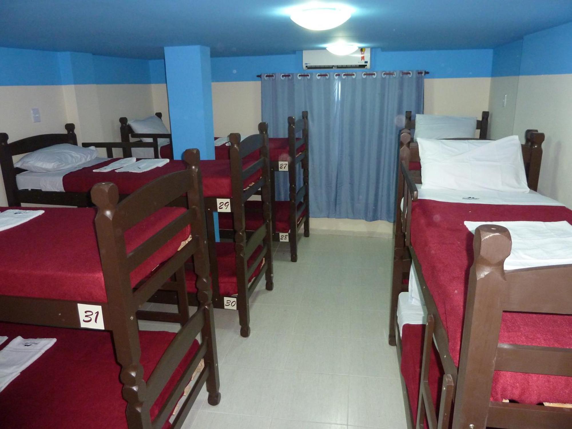 Bunk Bed Mixed Dormitory Room