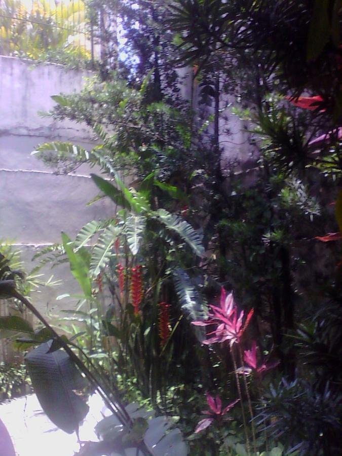 Four-Bedroom House,868686926:JPEG