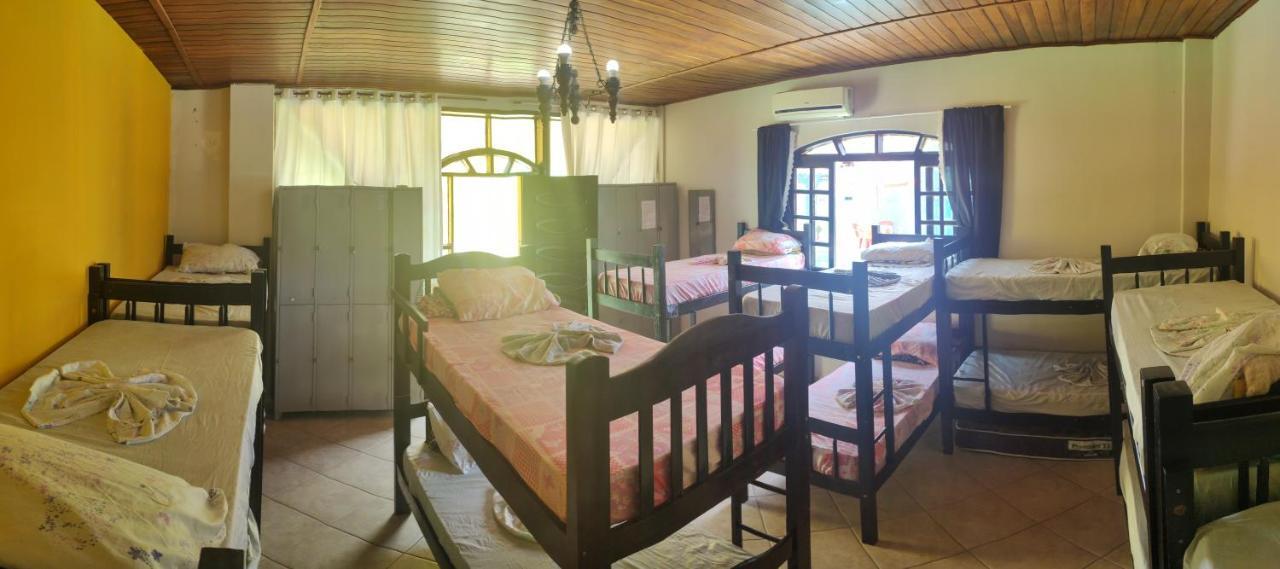 Bunk Bed Mixed Dormitory Room,1735073689:JPEG
