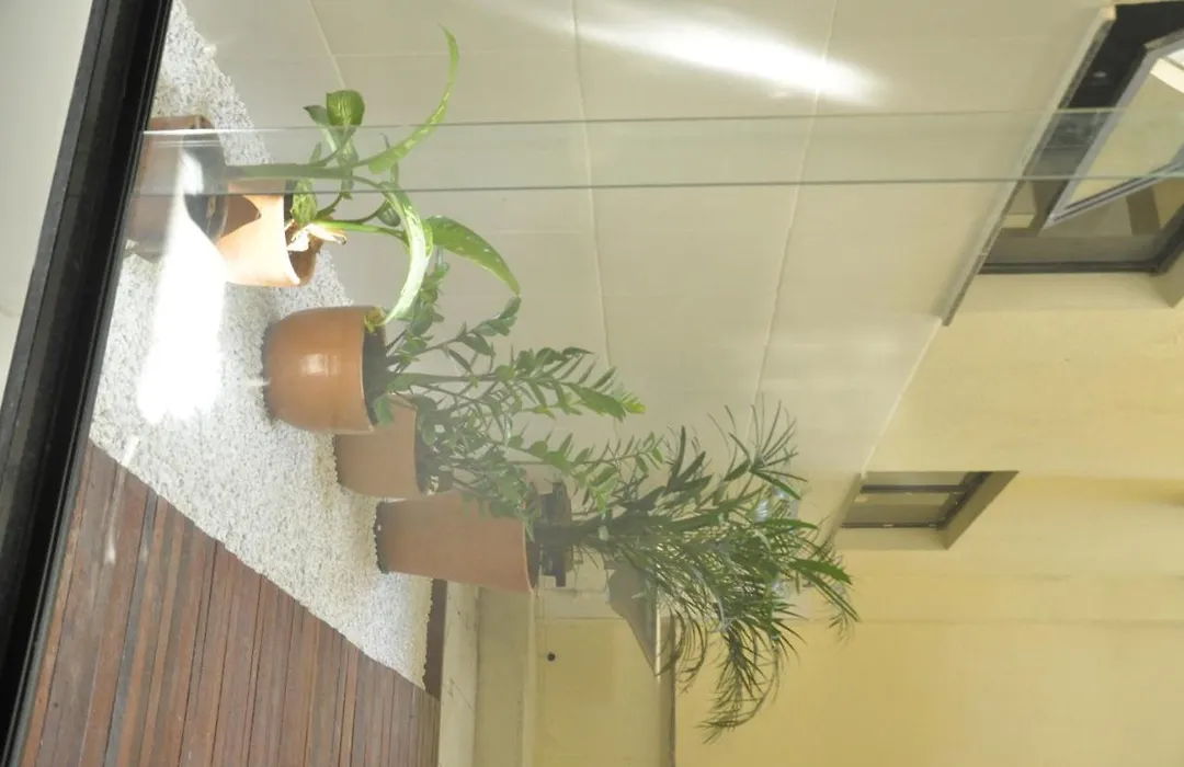 Hotel Super Economicoplus-1