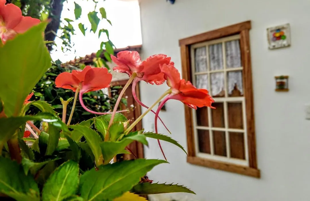 Pousadinha Vila Valentina-1