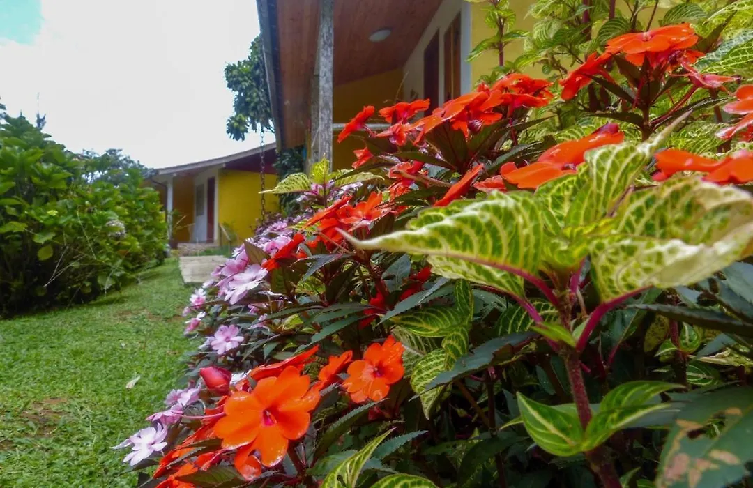 Pousada Polessas-1