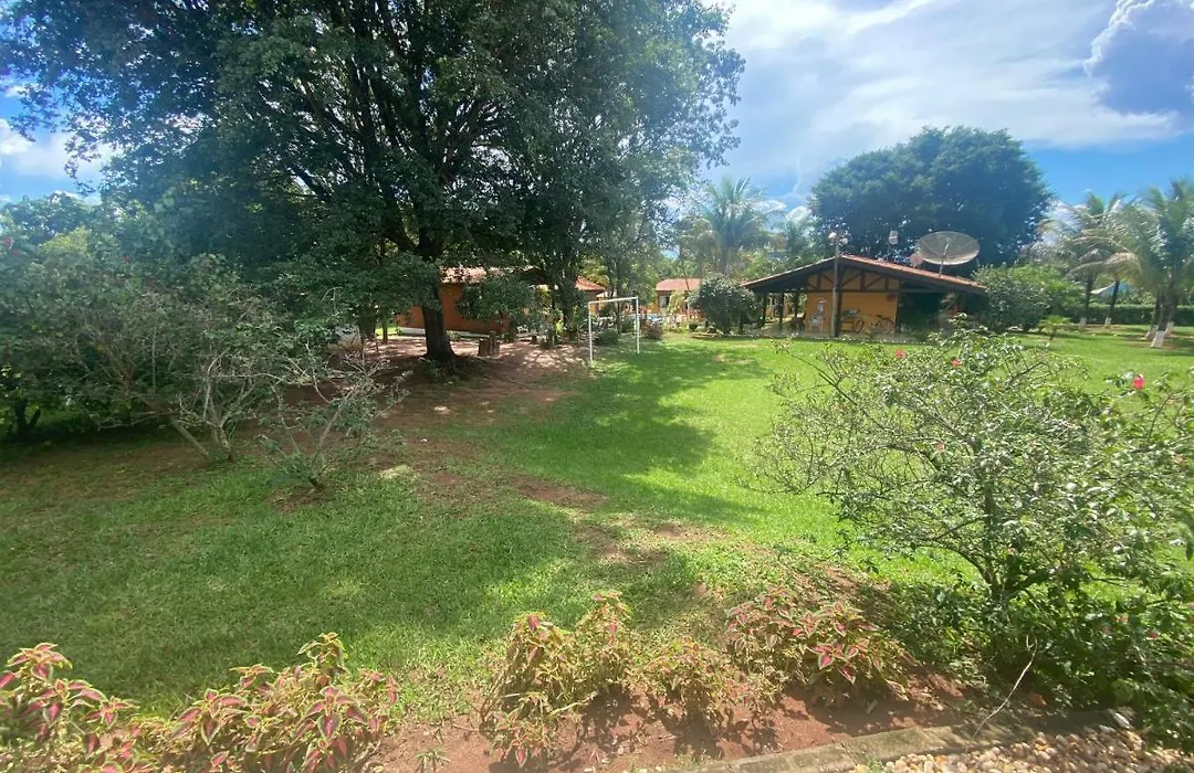 Família Busca-pé-1