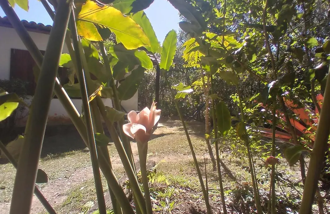 Pousada Do Pequi-1