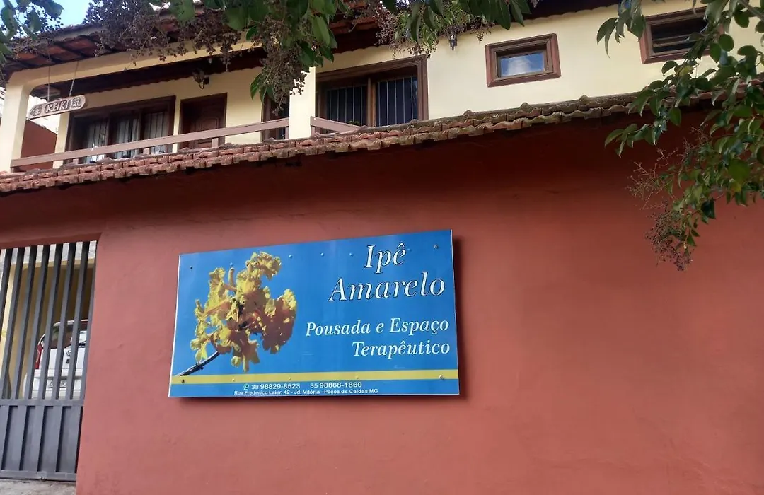 Ipe Amarelo-1