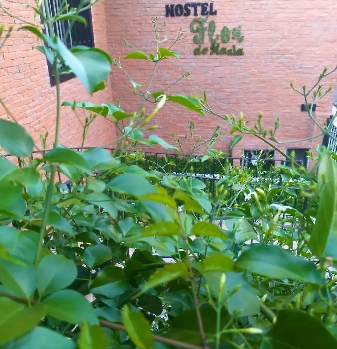 Hostel Flor De Maria-1