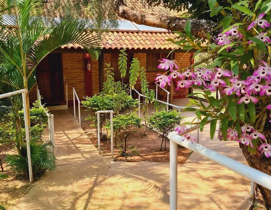 Quintal Das Estrelas-1