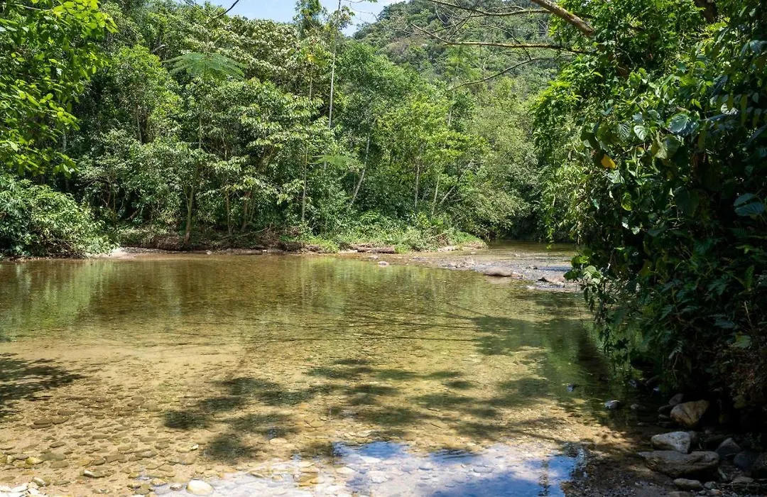 Casa E Experiencia Na Beira Do Rio-1