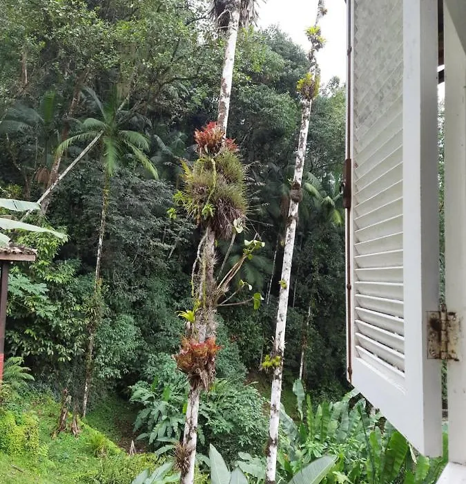 Casa Camburi - Hostel-1