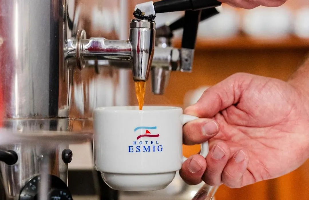 Hotel Esmig-1