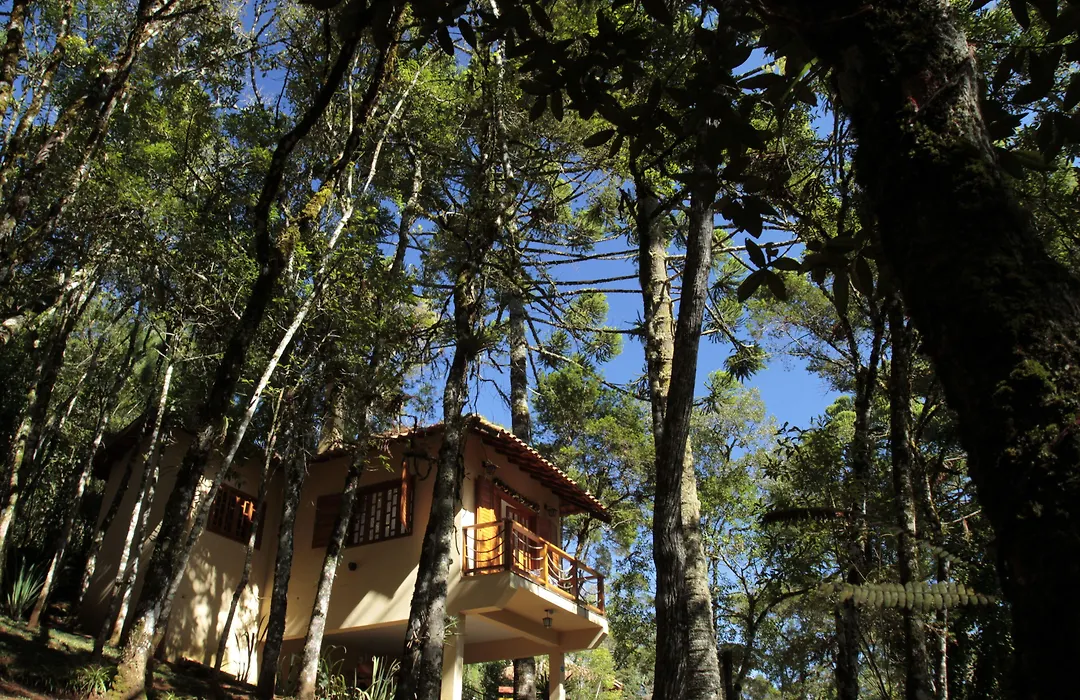 Pousada Chalé da Floresta-1