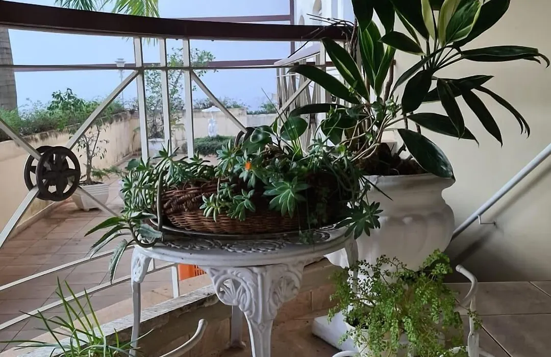 Vitoria Garden-1