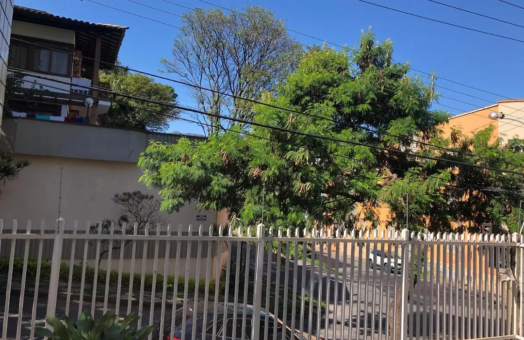 Canto Do Gato-1