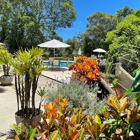 Villa Serena Bed & Breakfast-3