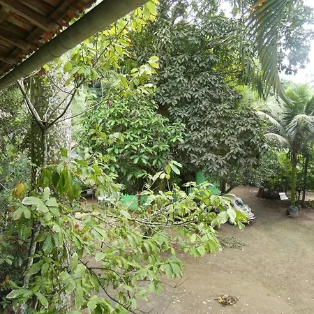 Pousada Jambo Trindade-2