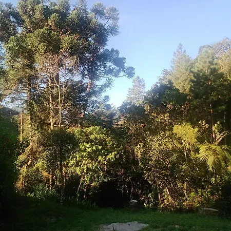 Chale Encanto Veu Da Noiva-2