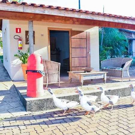 Hotel Fazenda Haras-3