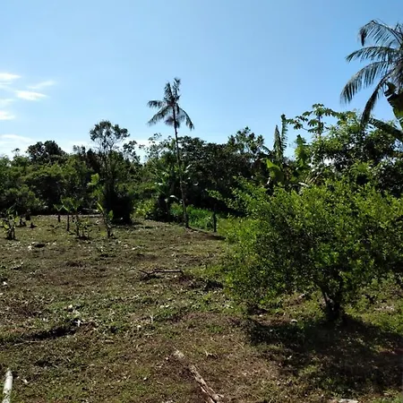 Pedacinho do Paraiso-3