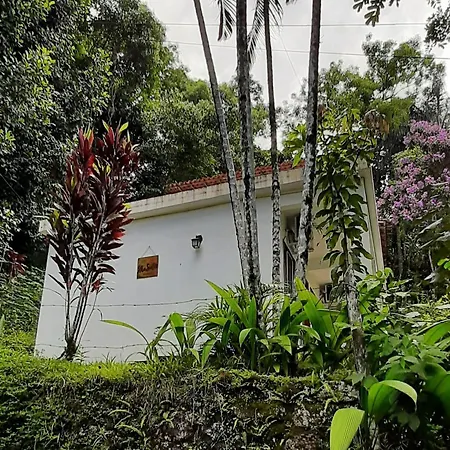 Ilha Suites - Vila do Abraão-2