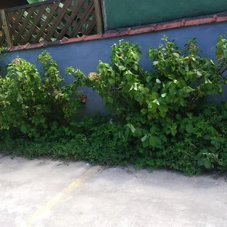 Suites Madalena Itamambuca-2