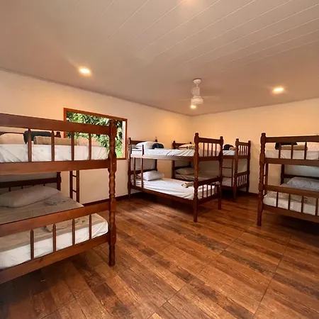 Fauna Hostel-3