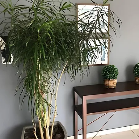 Studio Top Life: Garagem | Wifi | Ar-Condicionado Na1002-3