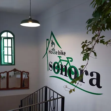 House Bike Sonora-3
