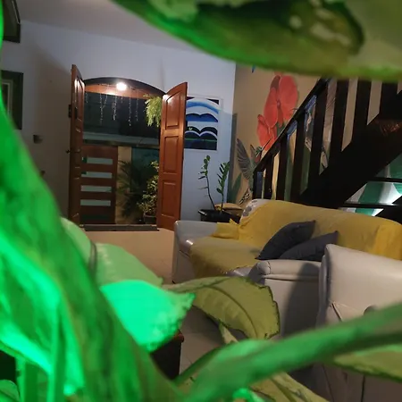 Encantos do mar-3