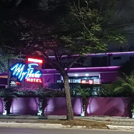 Motel My Flowers 4-2