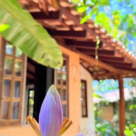 Casa Jardim Bangalos-3