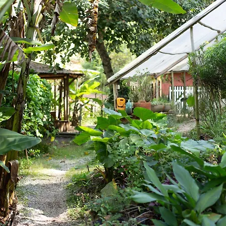 Pousada O Bosque-3