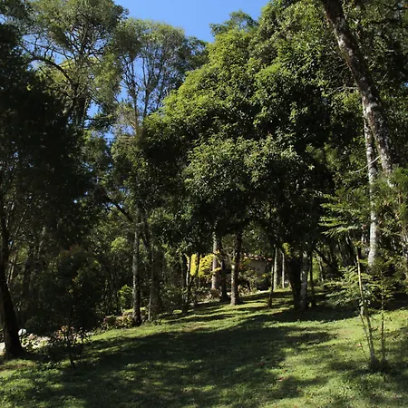 Pousada Chalé da Floresta-3